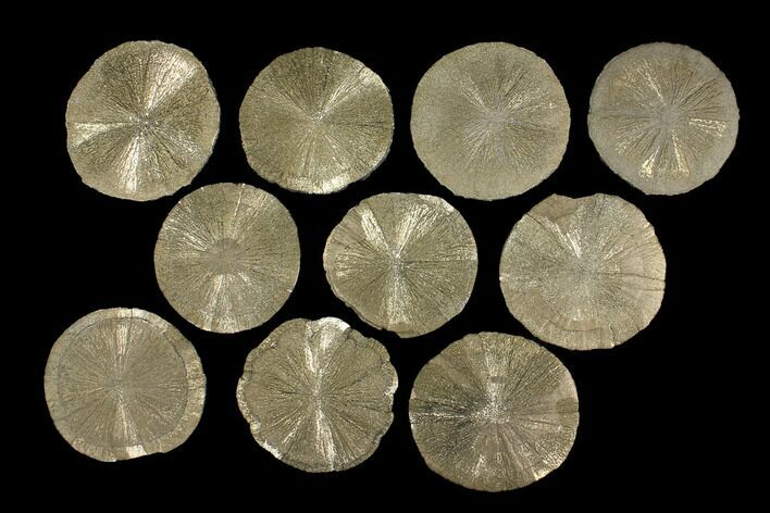 Lot: Pyrite Suns From Illinois - Pieces #92542
